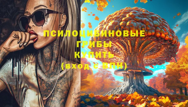 СК Армянск