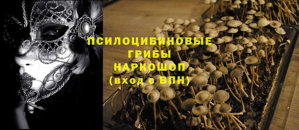 гидра Аркадак