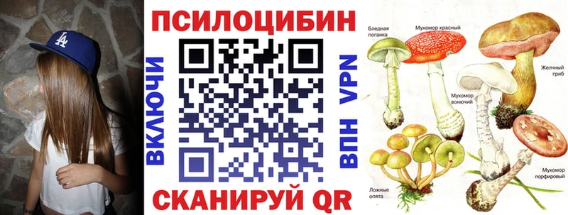 Псилоцибиновые грибы мицелий  наркотики  Приморско-Ахтарск 